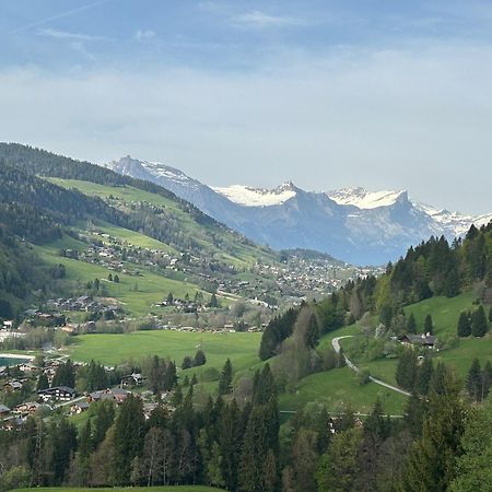 Chalet Saint Victor, Praz Sur Arly ภายนอก รูปภาพ